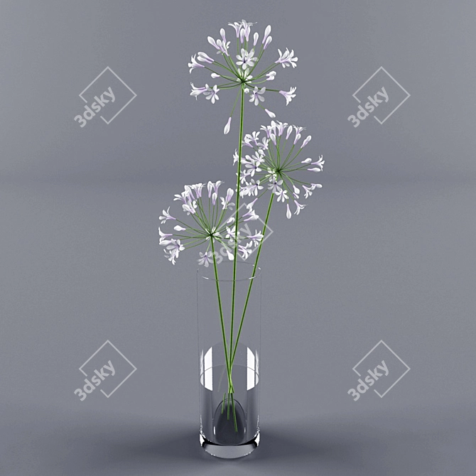 Elegant Agapanthus in Vase 3D model image 1