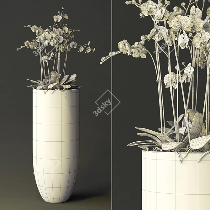 Exquisite Blooming Orchid 3D model image 2
