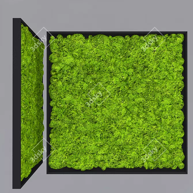 1000mm x 1000mm Moss Art 3D model image 1