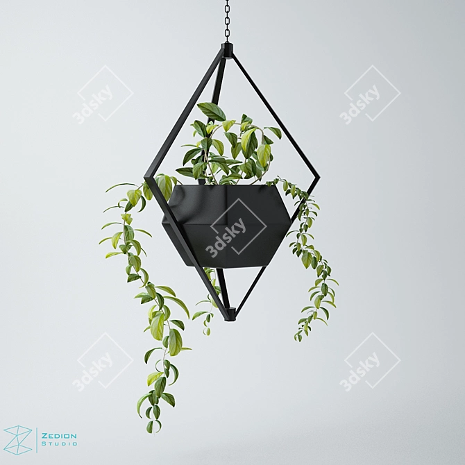 Green Leafy Zed Decoration Plant 3D model image 1