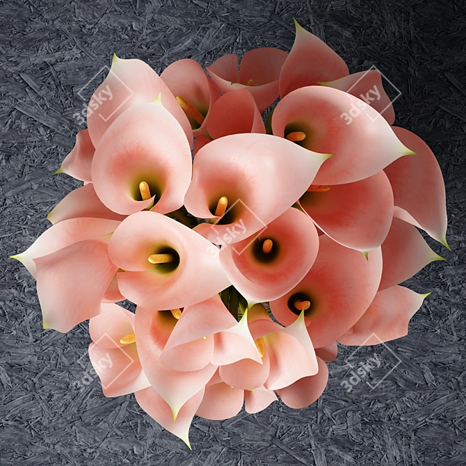 Elegant Pink Calla Lily Bouquet 3D model image 3