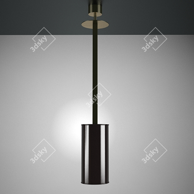 Elegant Duo Ceiling Lamps 3D model image 3