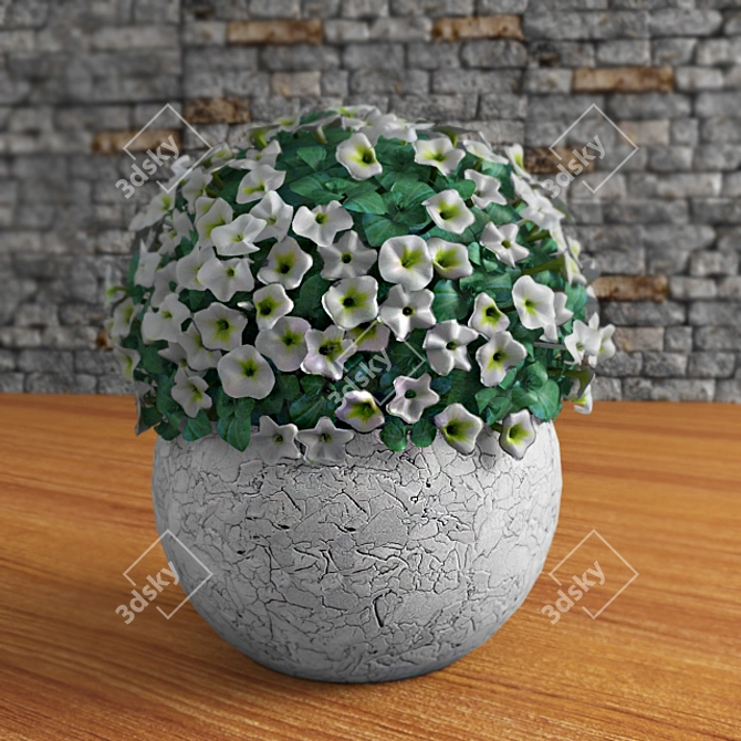 White Petunia 3D model image 1