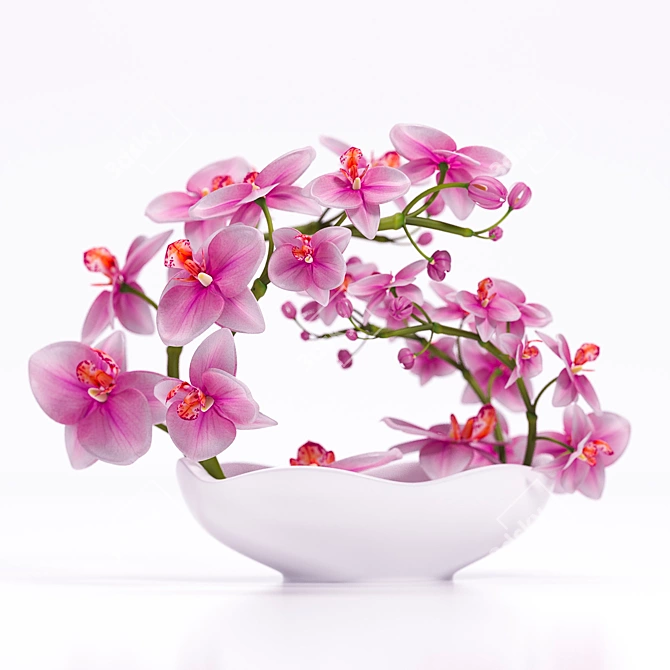 3DSky and 3DDD Dedicated: ORCHID 3 - Unleash Your Creativity 3D model image 2