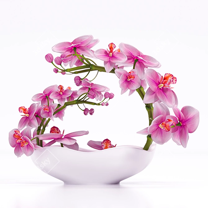 3DSky and 3DDD Dedicated: ORCHID 3 - Unleash Your Creativity 3D model image 3