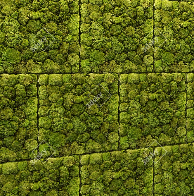 Everlasting Greens: Stone & Moss 3D model image 2