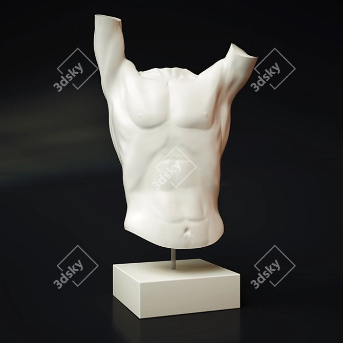 Sleek Torso Sculpture 3D model image 1