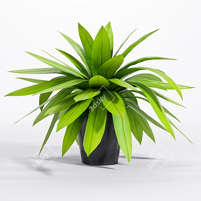 Green Beauty: Bird's Nest Fern 3D model image 1