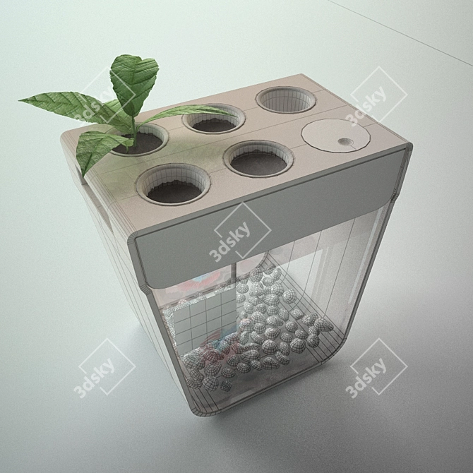 Transparent Fish Pond - 30.5x29.5cm 3D model image 2