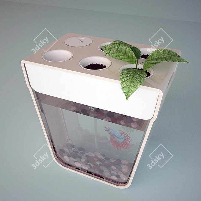 Transparent Fish Pond - 30.5x29.5cm 3D model image 3