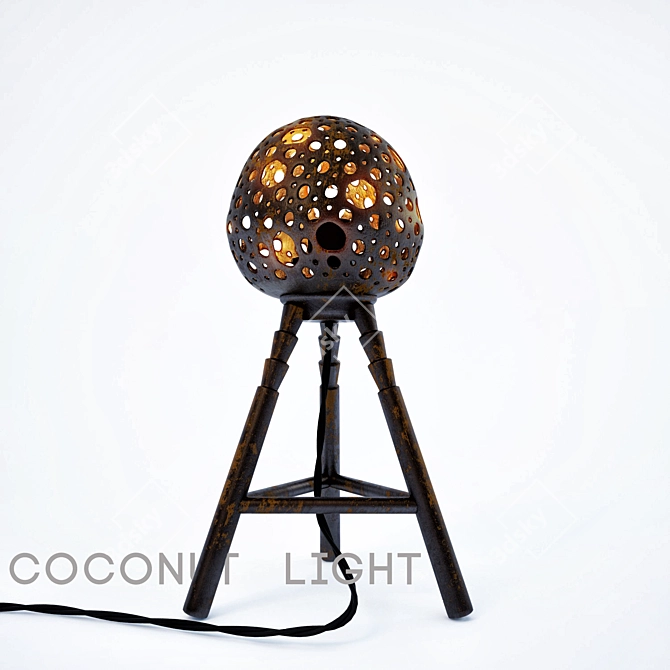 Coconut Shell Lamp: Height 430mm 3D model image 1