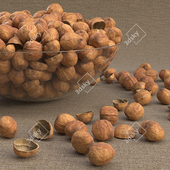 Premium Walnut Bundle 3D model image 3