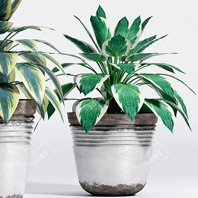 Elegant Greenery: Plant-6 3D model image 2