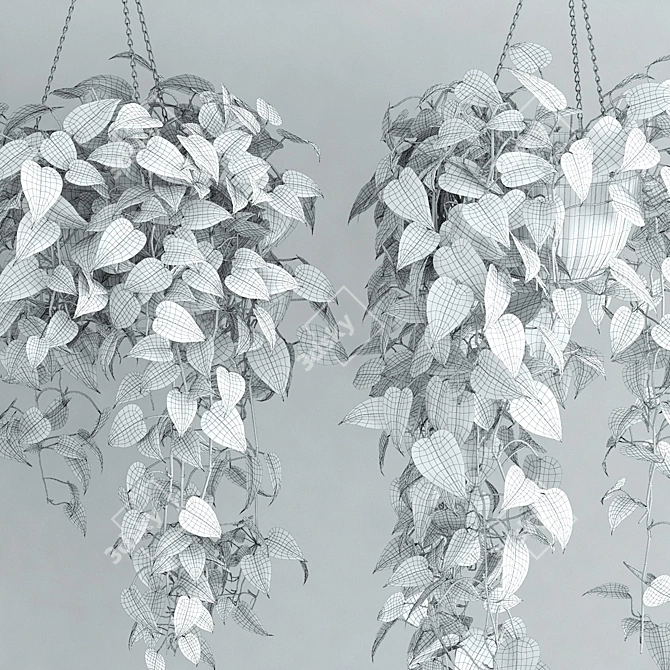 Scandens Hanging Plant: 2 Variants 3D model image 3