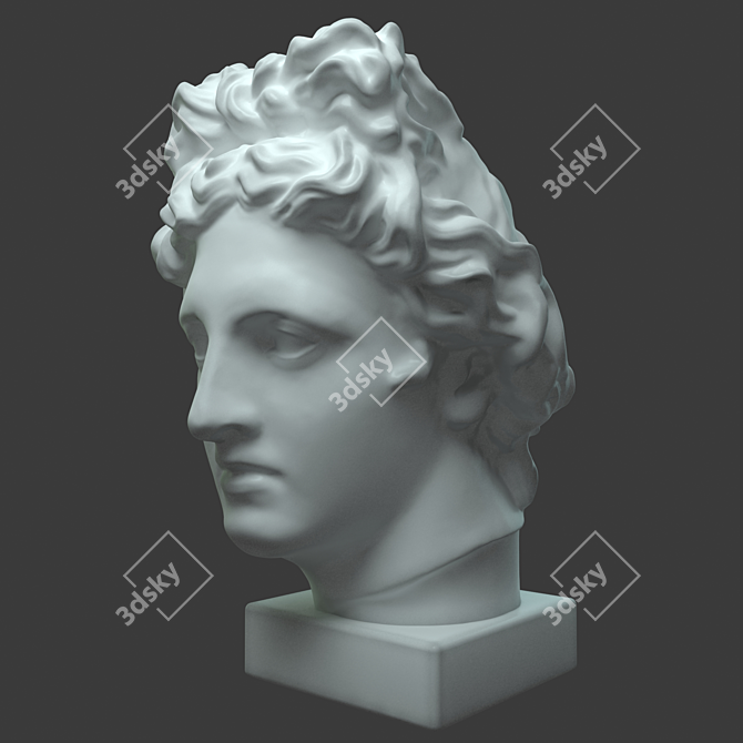 Title: Apollo 3D Scanned Educational Head 3D model image 2