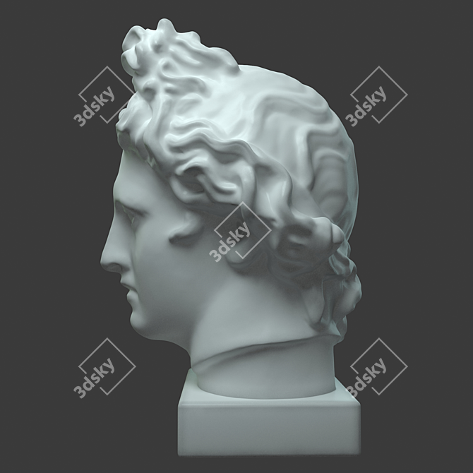 Title: Apollo 3D Scanned Educational Head 3D model image 3