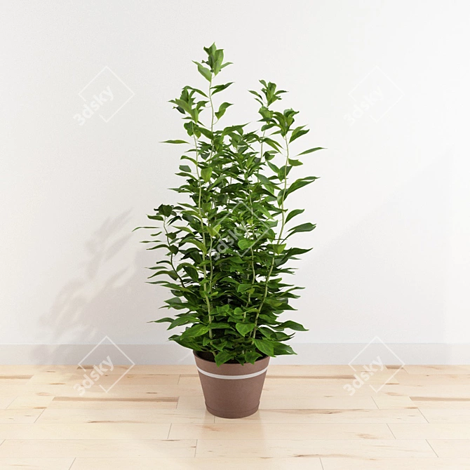 Potted Plant: №4 3D model image 1