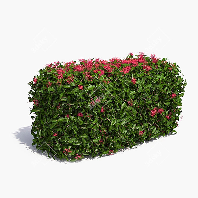 Exotic Blooms Live Hedge 3D model image 1