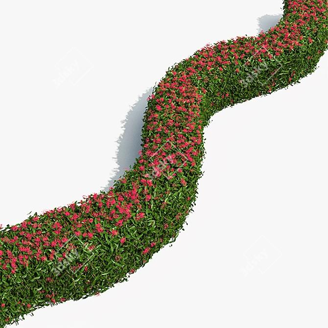 Exotic Blooms Live Hedge 3D model image 3