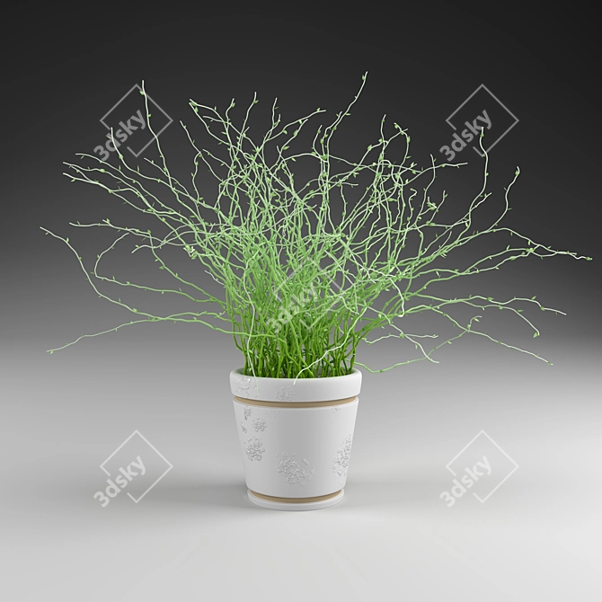 Elegant Greenery: Decorative Plant 3D model image 1