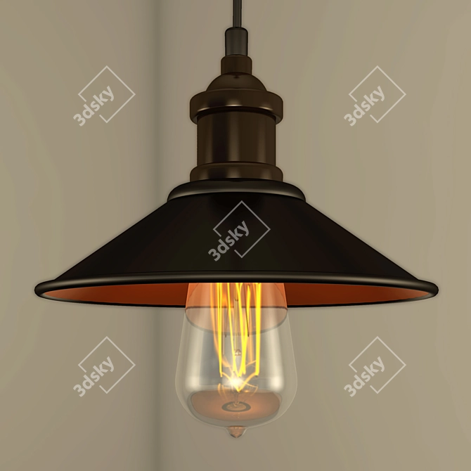 Metal Finish Ceiling Lamp 3D model image 1