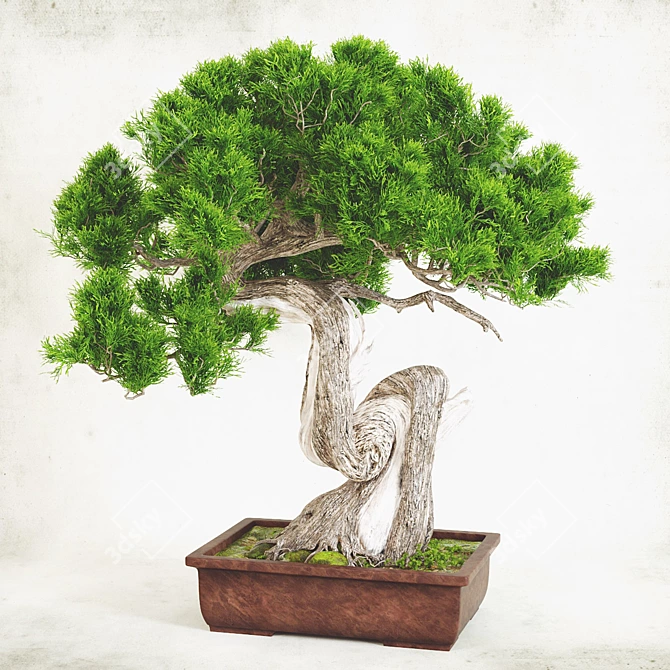 Handcrafted Bonsai Tree Sculpture 3D model image 2