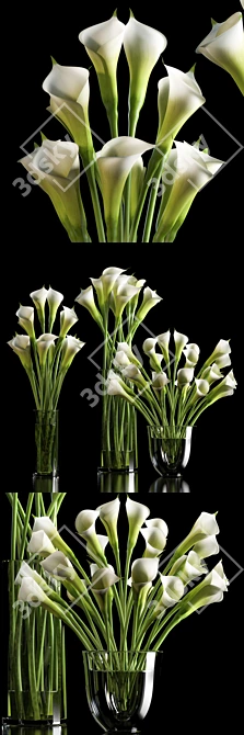 Elegant Calla Lilies 3D model image 1