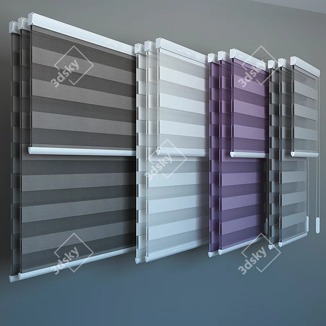 Day and Night Blinds: 4 Sizes Available 3D model image 2