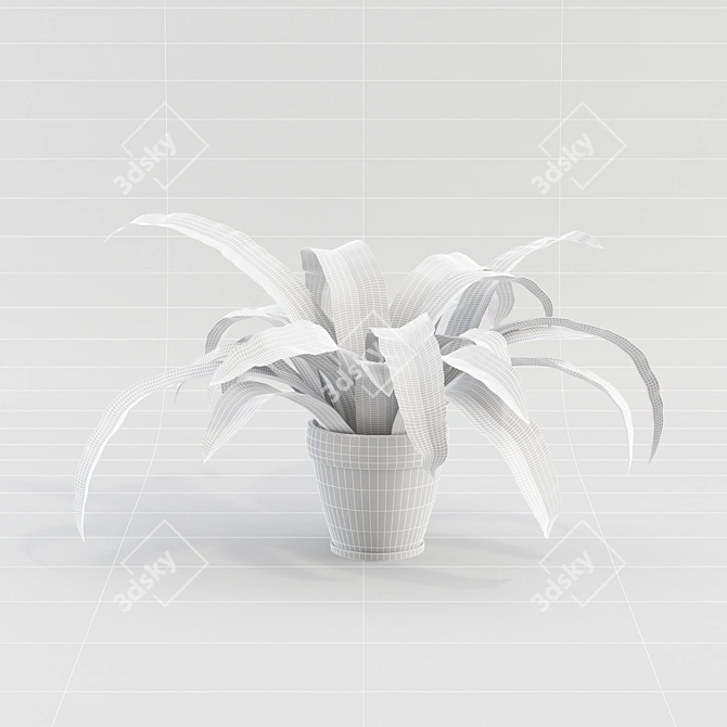 Indoor Plant - №6 3D model image 2