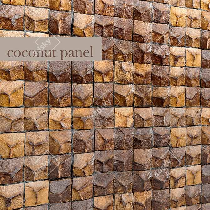 Natural Coconut Tiles 3D model image 1