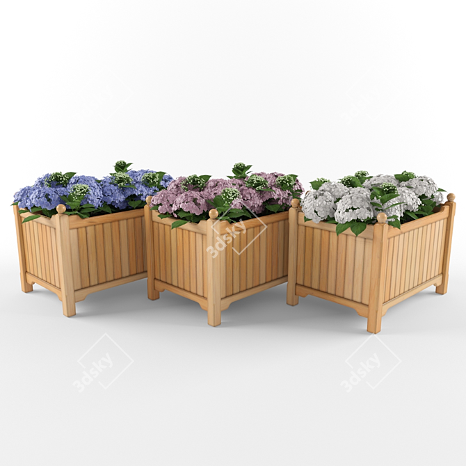 Wooden Box Hydrangea Collection 3D model image 1