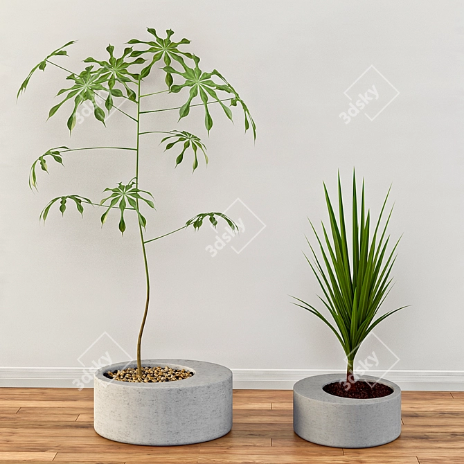 Contemporary Concrete Planters 3D model image 1