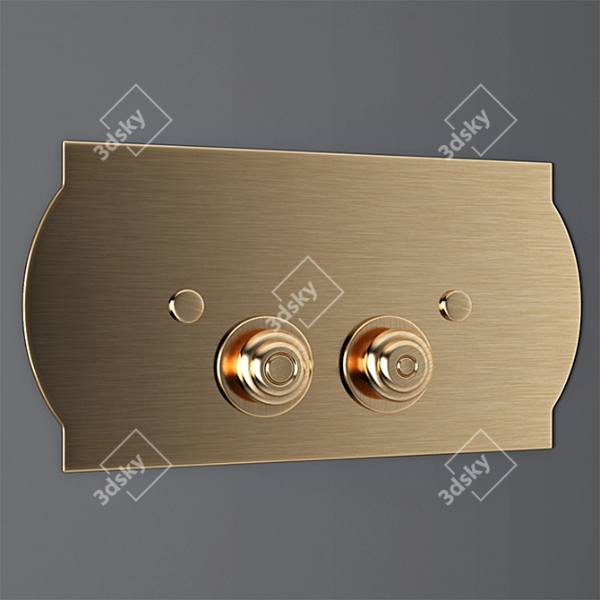 Elegant Flusher Button 3D model image 1