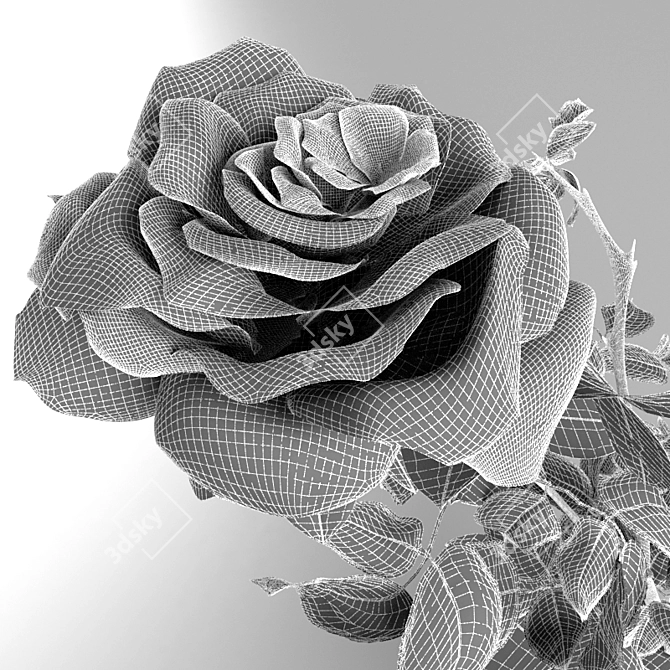 Blooming Beauty: Miniature Rose 3D model image 2