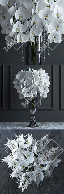 Phalaenopsis Orchid Bouquet: Elegant and Lightweight 3D model image 1