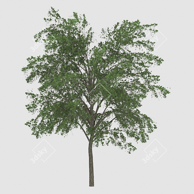 Elegant Tree Sculpture 3D model image 1