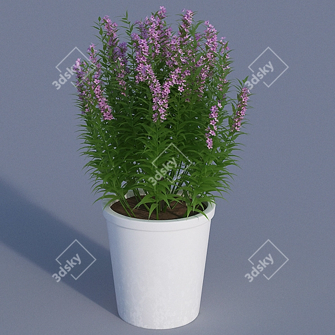 Heavenly PIN Pot 3D model image 1