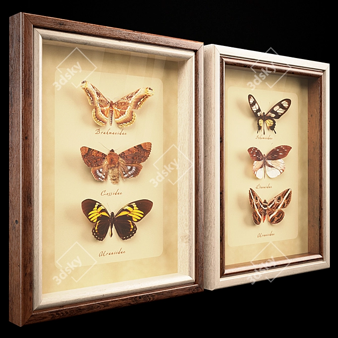 Enchanting Butterfly Wall Set 3D model image 2