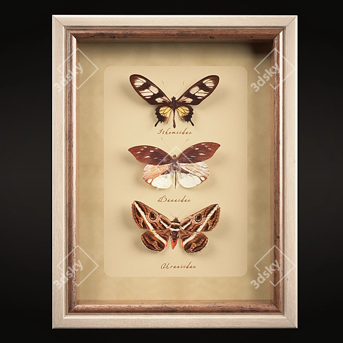 Enchanting Butterfly Wall Set 3D model image 3