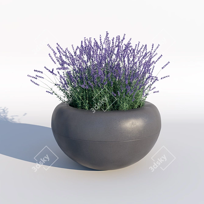 Serenity in a Bottle: Lavender Essential Oil 3D model image 1