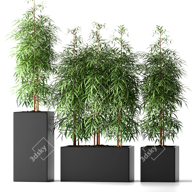 20 Beautiful Bamboo Plants 3D model image 1