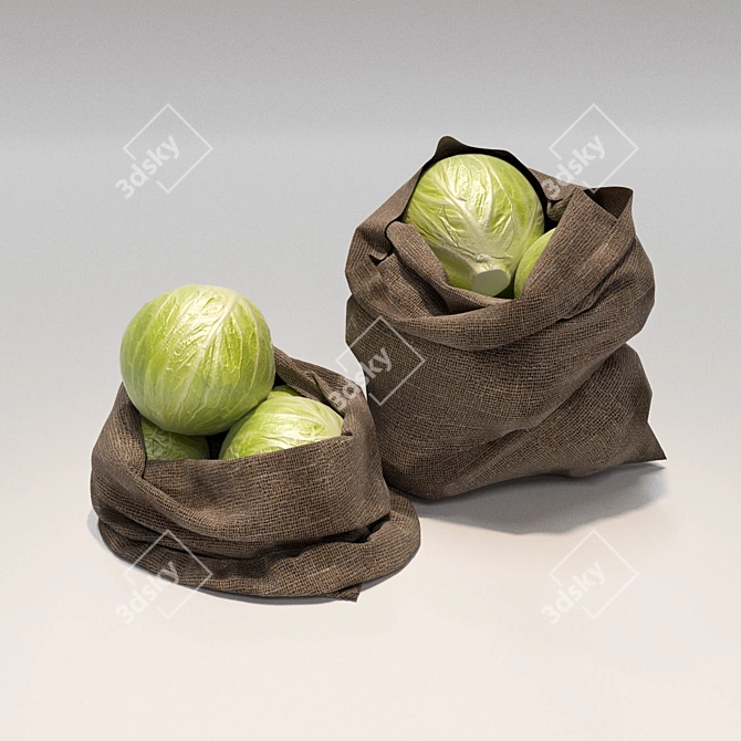 Poly Mesh Cabbage Bags - 2 Pack 3D model image 1