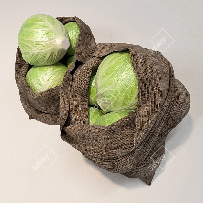 Poly Mesh Cabbage Bags - 2 Pack 3D model image 2