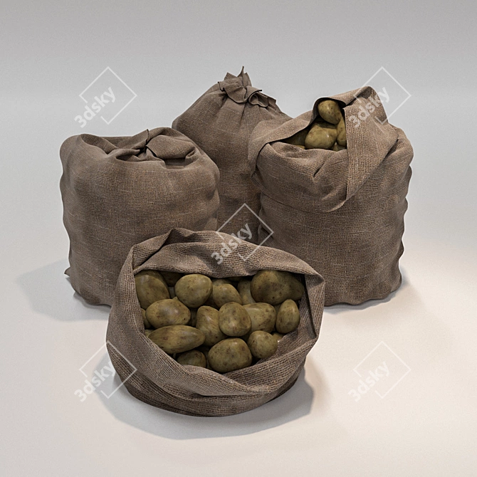 Mixed Variety Potato Sack Set 3D model image 1