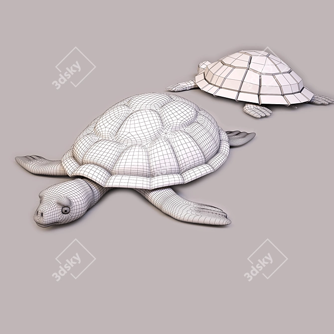 Title: Plush Toy Turtle 3D model image 3