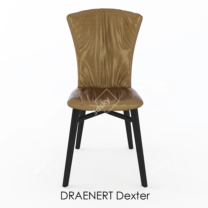 Title: Modern Style Leather Chair - DRAENERT Dexter 3D model image 2