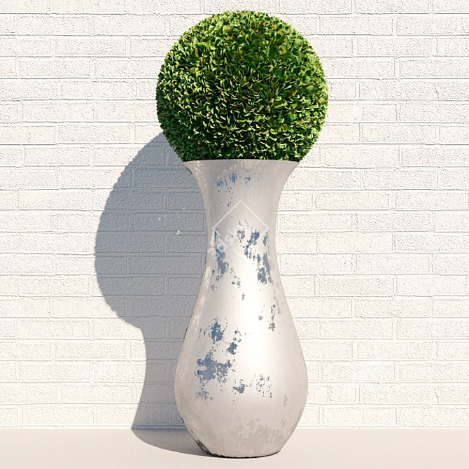 Archived Vase Versions for Vray & Corona 3D model image 1