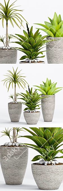 Elegant Decorative Plant 3D model image 1