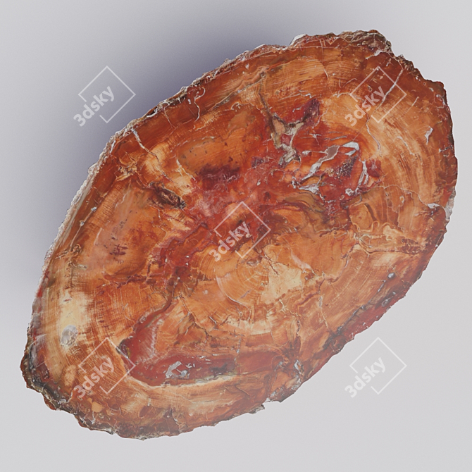 Natural Wood Slab Table 3D model image 3