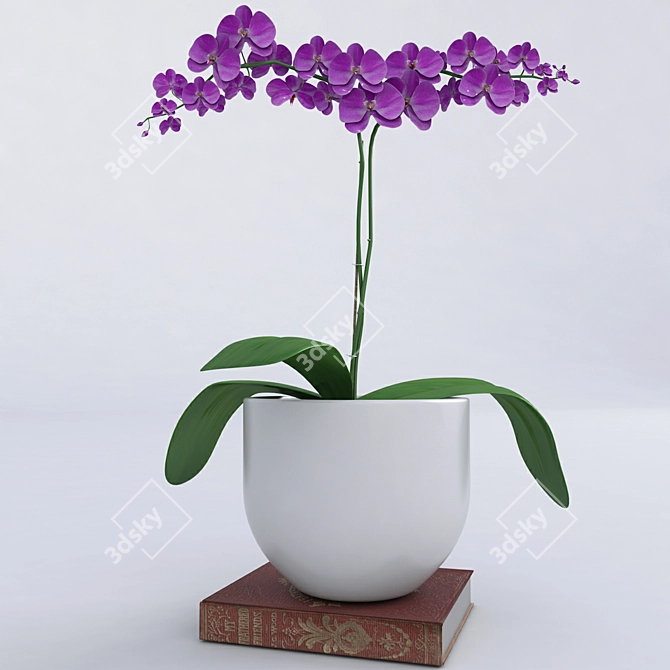 Exotic Orchid Plant 3D model image 1
